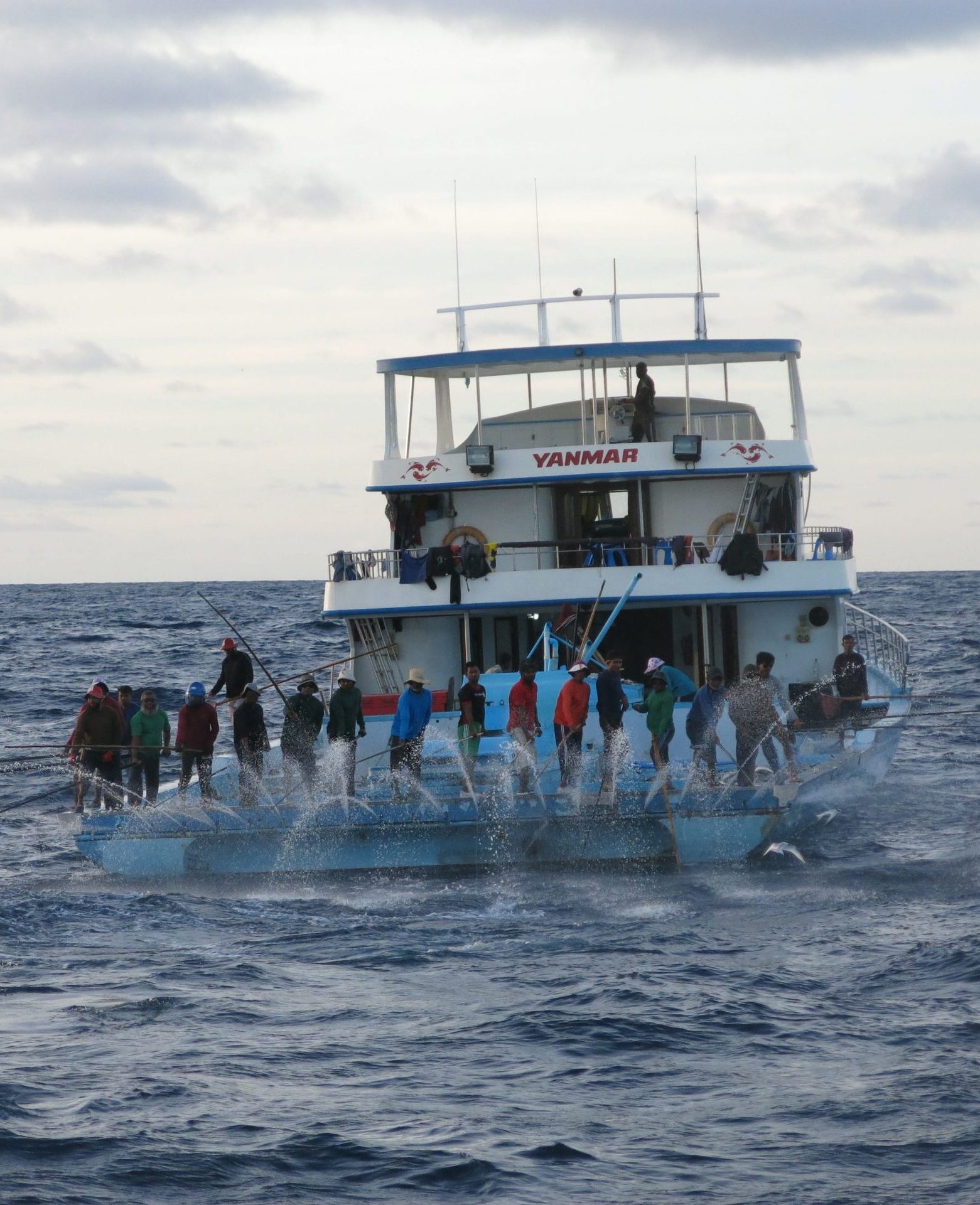Maldives Pole-and-Line Tuna - RISE
